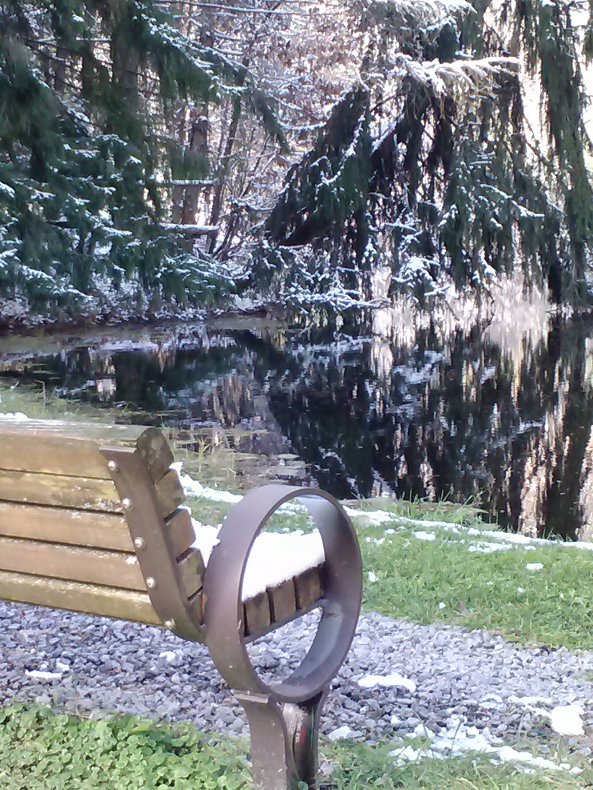 Snow-covered bench and trees by a calm river in winter.