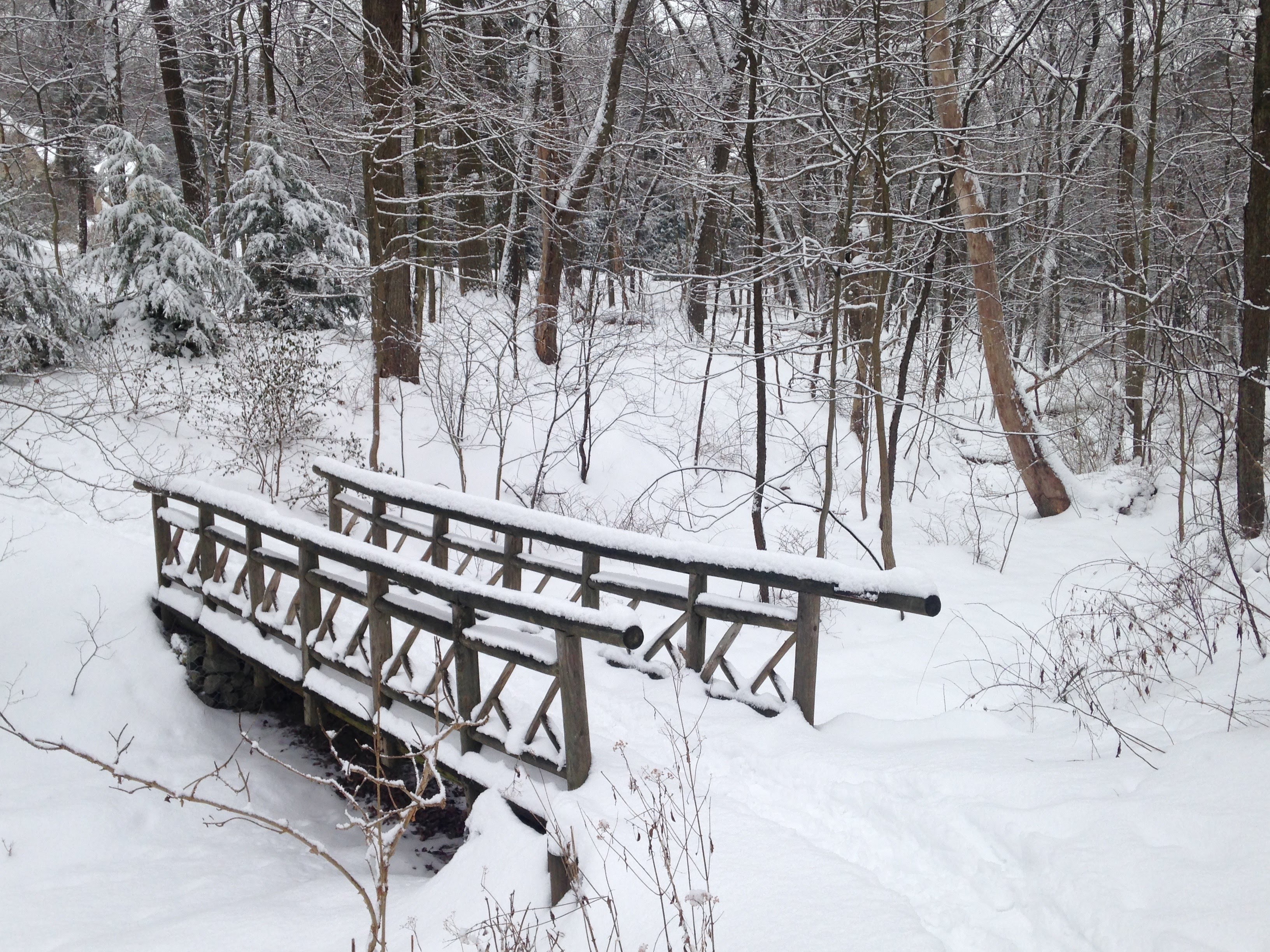 Snow-covered wooden bridge in a quiet winter forest.