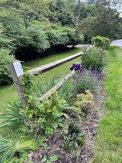 Native tree giveaway event on October 4.