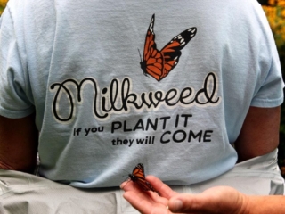 Butterfly release -3- 8701FB