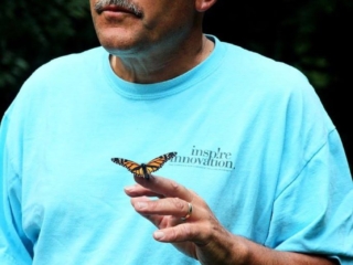 Butterfly release – 4 – 8696FB