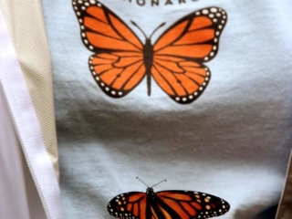 Butterfly release – 8 – 8700FB