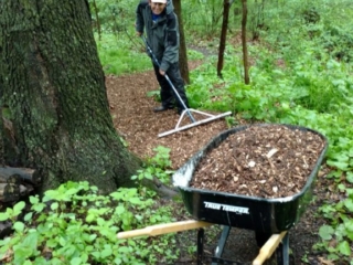 IMG_20160521_105529657