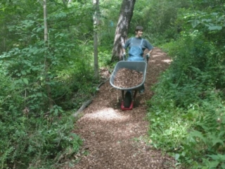 IMG_20160702_112303611