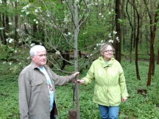 IMG_20170429_121627041