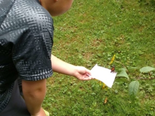 IMG_20170729_095807880