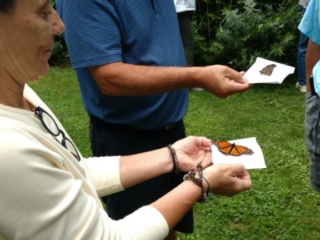 IMG_20170729_100108585