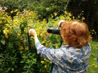 IMG_20170729_100119762