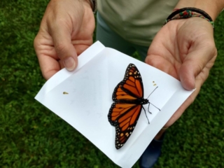 IMG_20170729_100220832_HDR