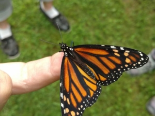 IMG_20170729_100701672