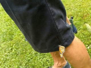 IMG_20170729_100757420