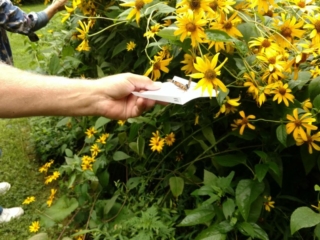 IMG_20170729_100828098