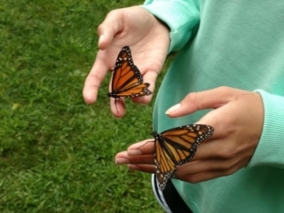 IMG_20170729_101402183