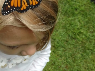 IMG_20170729_101808496