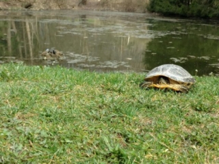 IMG_20180414_092943904