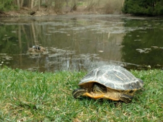 IMG_20180414_092950888