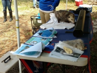 IMG_20180428_115736913