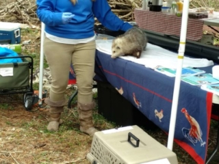 IMG_20180428_120048793