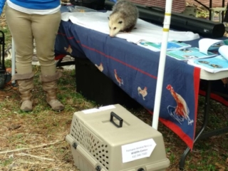 IMG_20180428_120057697