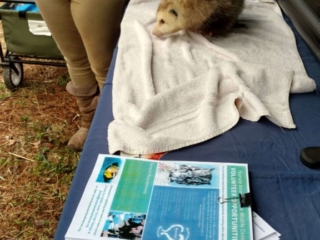 IMG_20180428_120404667_HDR