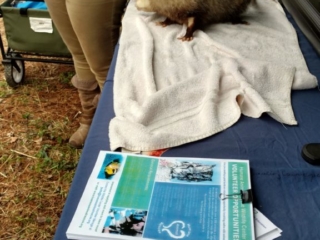 IMG_20180428_120406063_HDR