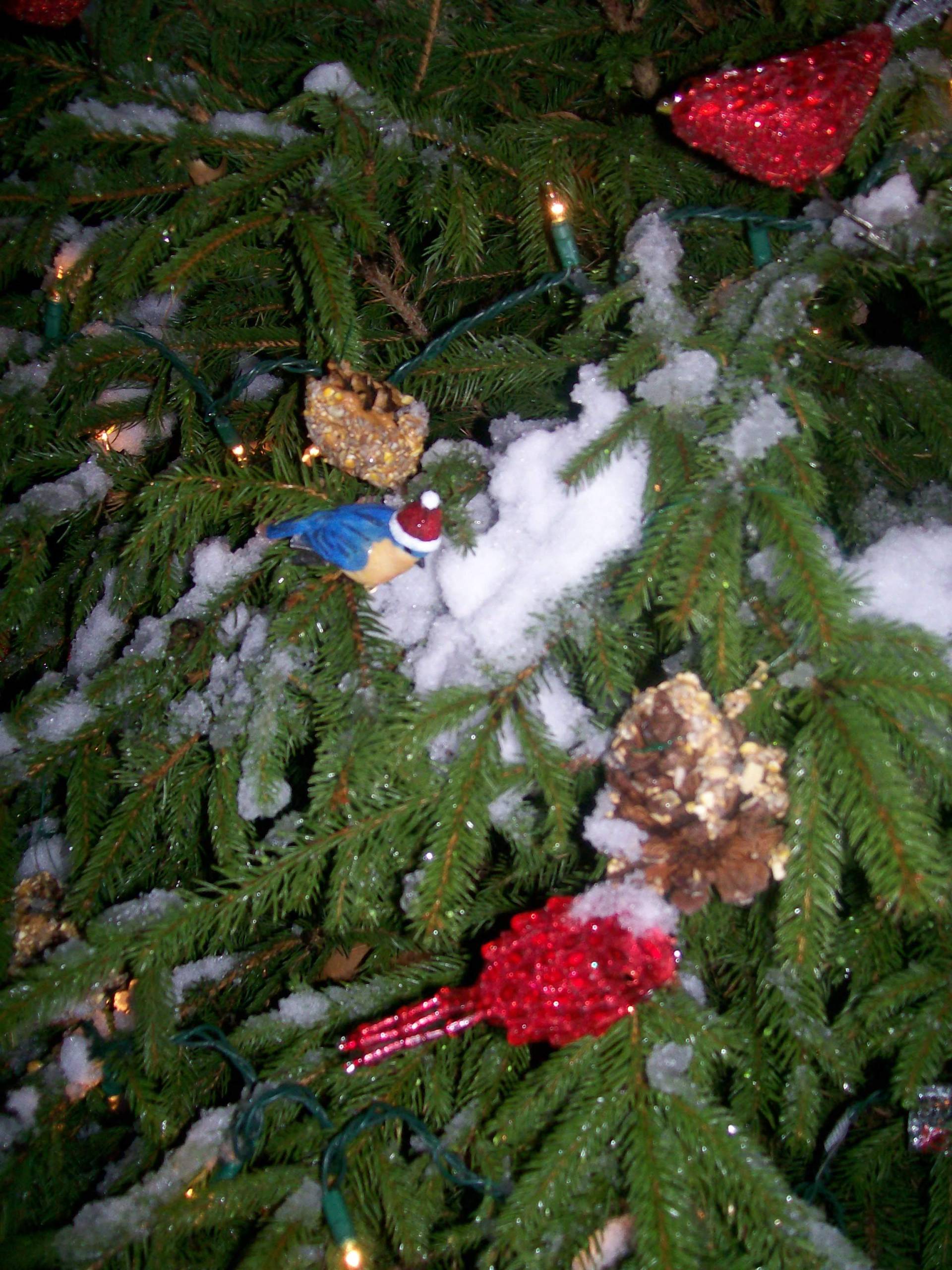 Close-up of pine tree branches decorated with cotton, pine cones, and red ornaments.